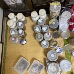 クワガタの画像