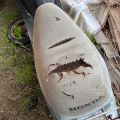 昔のリード　　レストアベースの画像