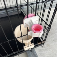 ドッグゲージの画像