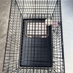 ドッグゲージの画像