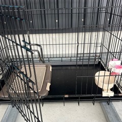 ドッグゲージの画像