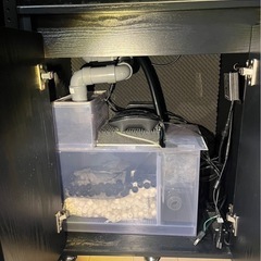 オーバーフローすいそう水槽の画像