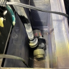 オーバーフローすいそう水槽の画像