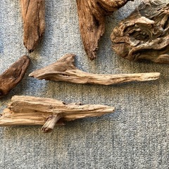 アクアリウム・流木セットの画像