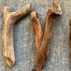 アクアリウム・流木セットの画像