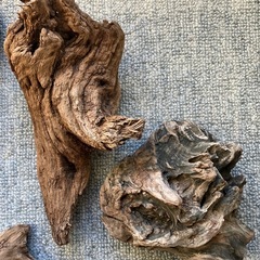 アクアリウム・流木セットの画像