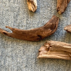 アクアリウム・流木セットの画像