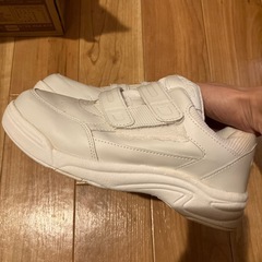 ２５cm     スニーカー の画像