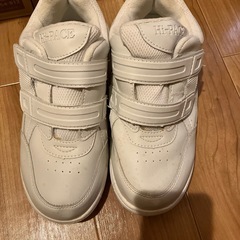 ２５cm     スニーカー の画像
