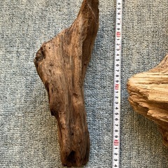 アクアリウム・流木の画像