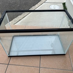 ガラス水槽　60cm の画像