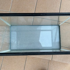 ガラス水槽　60cm の画像