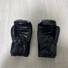 【無料】サンドバッグ、グローブセットの画像
