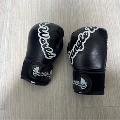 【無料】サンドバッグ、グローブセットの画像