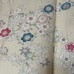 袷の着物の画像