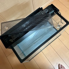 ※お取引中※
60センチ水槽セットの画像