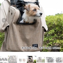 LIFE LIKE サイクリングリュックキャリーの画像