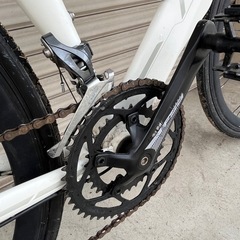 MERIDA GRAN SPEED 250D ホワイトの画像