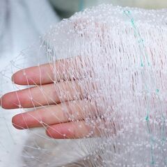 防鳥ネット 防鳥網 透明 幅5ｍ 長さ5ｍ 網目25mm 強力 ナイロン 鳥よけネット カラスよけ 害獣 防獣 田んぼ 畑 農園 果樹園 庭 ベランダ 果物 野菜 盗難被害防止の画像