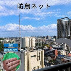 防鳥ネット 防鳥網 透明 幅5ｍ 長さ5ｍ 網目25mm 強力 ナイロン 鳥よけネット カラスよけ 害獣 防獣 田んぼ 畑 農園 果樹園 庭 ベランダ 果物 野菜 盗難被害防止の画像