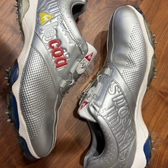 ゴルフシューズの画像