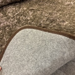 ニトリ カーペットラグ242cm×202cmの画像