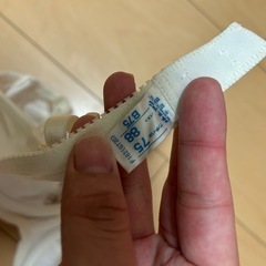 新品 ブラジャー
の画像