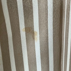 袷の着物の画像