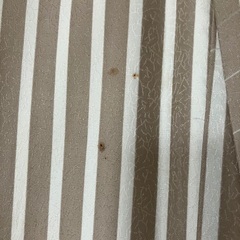 袷の着物の画像