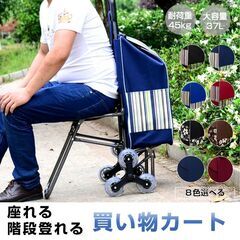 キャリーカート 椅子付き 座れる 6輪 防水 折り畳み 階段登れる 大容量 子供連れ ショッピング 旅行 外出 買い物 キャリーケース 高齢者 シルバーカー 手押し車の画像