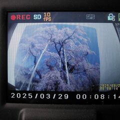 ドライブレコーダーの画像