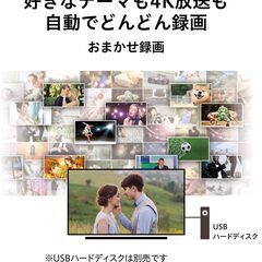 東芝 55V型 液晶テレビ レグザ 55M530X 4Kチューナー内蔵 外付けHDD W録画対応 （2019年モデル）の画像