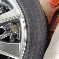 エナセーブ155.65.144本の画像