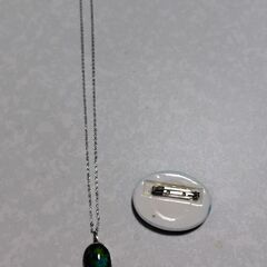 ネックレス＆ブローチの画像