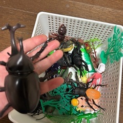 【無料】昆虫など【寄付可能】の画像