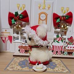 今だけキャンペーン　クリスマスマルチーズ　　手作り樹脂ケーキ付き　羊毛フェルトの画像