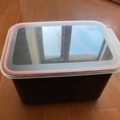 米びつ　コンテナ　保存容器の画像