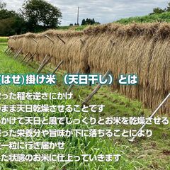 新米2025｜岩手・花巻産 ササニシキ 白米10kg｜稲架掛け天日干しで香り豊かに仕上げた限定米の画像