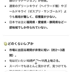 20日限定特大セールレインボーレッドキウイ🌈の画像