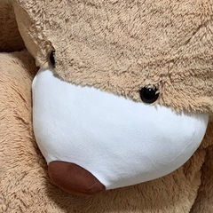 おっきなくまちゃん。の画像