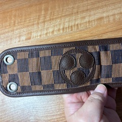 三線　ティーガ　の画像