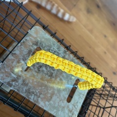 1回使用　踏み板式  捕獲器　S・M 2個セットの画像