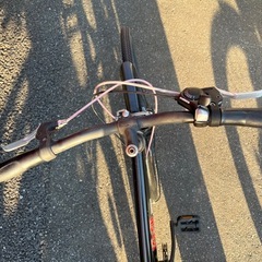 NO:83 子供自転車 SCHLEIN BRIDGESTONE 26インの画像