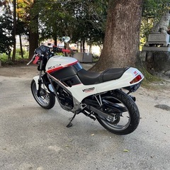 vtz250 mc15の画像