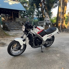 vtz250 mc15の画像