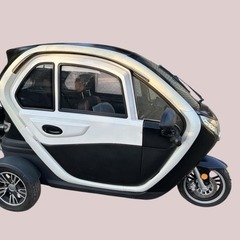 ジャンク　有償での陸送対応も可能です　不動車　乗車定員３名　基本的には引き取り希望です。  レンジエクステンダー　横浜市発　アーバントライカー系　ビークルファン系　EVトゥクトゥク系　電動トライク　EVトライク　電動トゥクトゥク　EVTUKTUK　電動バイクの画像