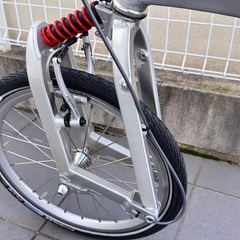 R&M ライズアンドミュラー BD-1 STANDARD 限定スコッチブライト色の画像