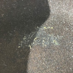 南部鉄器　オムレットのフライパンの画像