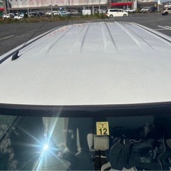 タントパールの画像