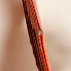 23まで　香鳥屋　KATORIYA カードケース　牛革　オレンジ　箱ありの画像